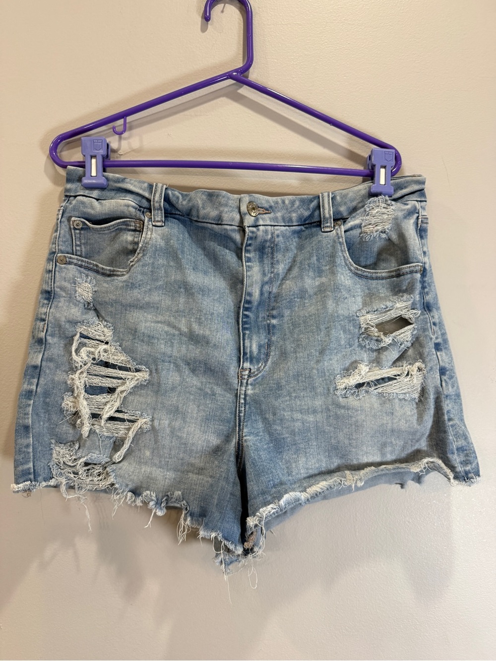 American Eagle Outfitters Light Wash Distressed Denim Shorts